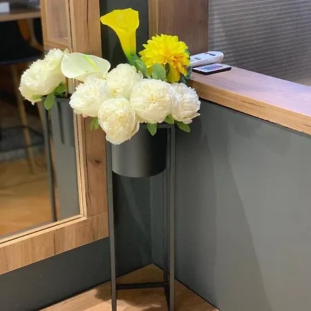 Apartman Aleksandar Bijeljina
